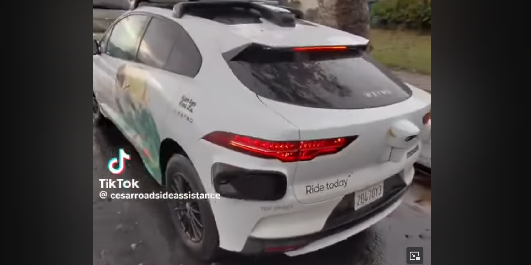 Waymo belt — image